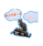 ゆらのらスタンプ（個別スタンプ：23）