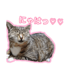 ゆらのらスタンプ（個別スタンプ：27）