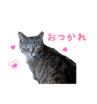 ゆらのらスタンプ（個別スタンプ：32）