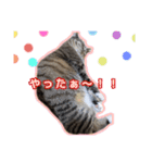 ゆらのらスタンプ（個別スタンプ：33）
