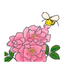 ミツバチの花めぐり（個別スタンプ：25）