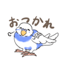 セキセイインコの団長（個別スタンプ：6）