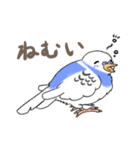 セキセイインコの団長（個別スタンプ：20）