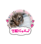 ジル君II（個別スタンプ：12）