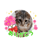 ジル君II（個別スタンプ：28）