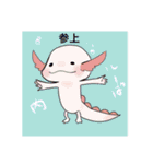チワワノもぷち（個別スタンプ：24）