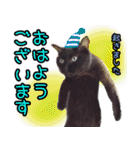 黒猫のくまちゃん 丁寧日常会話（個別スタンプ：2）