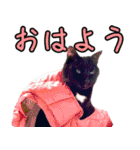 黒猫のくまちゃん 丁寧日常会話（個別スタンプ：3）