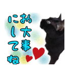 黒猫のくまちゃん 丁寧日常会話（個別スタンプ：10）