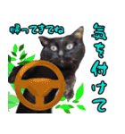 黒猫のくまちゃん 丁寧日常会話（個別スタンプ：12）