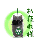 黒猫のくまちゃん 丁寧日常会話（個別スタンプ：21）