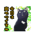 黒猫のくまちゃん 丁寧日常会話（個別スタンプ：25）