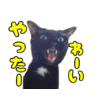 黒猫のくまちゃん 丁寧日常会話（個別スタンプ：27）