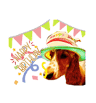 イングリッシュ・C英語文字スタンプ（個別スタンプ：7）