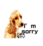 イングリッシュ・C英語文字スタンプ（個別スタンプ：9）