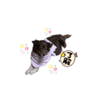 コト スタンプ（個別スタンプ：2）