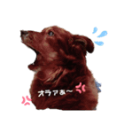 コト スタンプ（個別スタンプ：5）