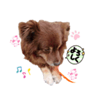 コト スタンプ（個別スタンプ：8）