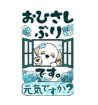 【Big】シーズー犬 81『梅雨＆青色系』（個別スタンプ：5）