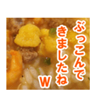 カップ麺の残り汁にご飯ぶち込み（個別スタンプ：14）