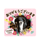 うちの可愛い動物たち（個別スタンプ：7）