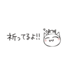 頭にネコ15・省スペース挨拶で日常会話(猫)（個別スタンプ：8）