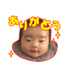 吾輩はいおりんである（個別スタンプ：1）