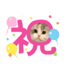ぽむちゃん3（個別スタンプ：21）