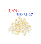 そうだ！野菜を食べよう！（個別スタンプ：24）