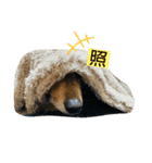 乙女王子（個別スタンプ：15）