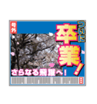 自然のいいスタンプ（個別スタンプ：3）