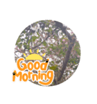 自然のいいスタンプ（個別スタンプ：5）