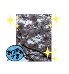 自然のいいスタンプ（個別スタンプ：6）