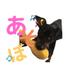 まいにちはっち1（個別スタンプ：8）