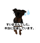 まいにちはっち1（個別スタンプ：16）