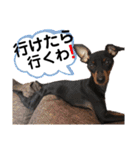 まいにちはっち1（個別スタンプ：18）