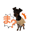 まいにちはっち1（個別スタンプ：20）