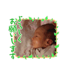 かしわまるー（個別スタンプ：11）