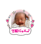 かしわまるー（個別スタンプ：30）