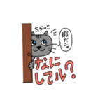 ルカちスタンプ第1弾ʕ•ᴥ•ʔ（個別スタンプ：15）