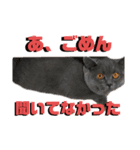 しんべえのやつ（個別スタンプ：3）
