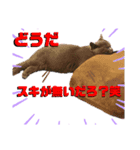 しんべえのやつ（個別スタンプ：4）
