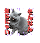 しんべえのやつ（個別スタンプ：7）