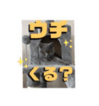しんべえのやつ（個別スタンプ：8）