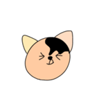 猫のデカ絵文字スタンプ2（個別スタンプ：24）