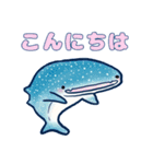 ジンベイザメさんと海の仲間達（個別スタンプ：3）