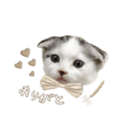 ねこちゃんのスタンプ ฅ"（個別スタンプ：5）
