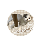 ねこちゃんのスタンプ ฅ"（個別スタンプ：7）