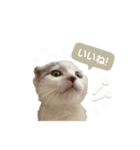 ねこちゃんのスタンプ ฅ"（個別スタンプ：8）