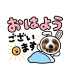 犬好きさんに☆こじももスタンプ（個別スタンプ：1）